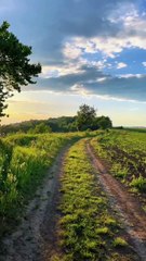 Awe-Inspiring_Nature_Energy_🌅🌻_1