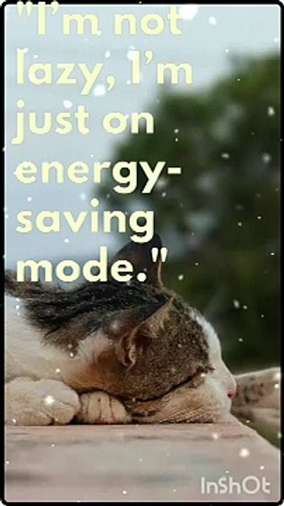 #Not Lazy