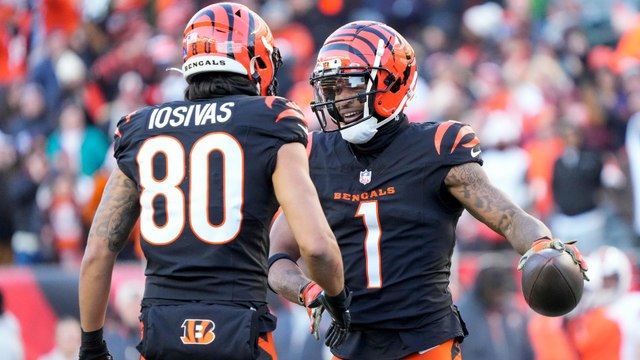 Bengals Triumph vs. Browns 24-6 in Crucial Game for Playoff Spot