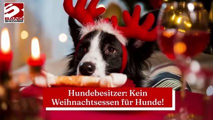 Hundebesitzer: Kein Weihnachtsessen für Hunde!