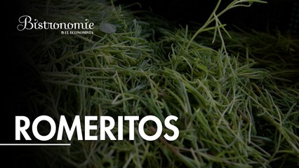 Romeritos: de las chinampas a la mesa navideña y ahora ¡hasta la sal!