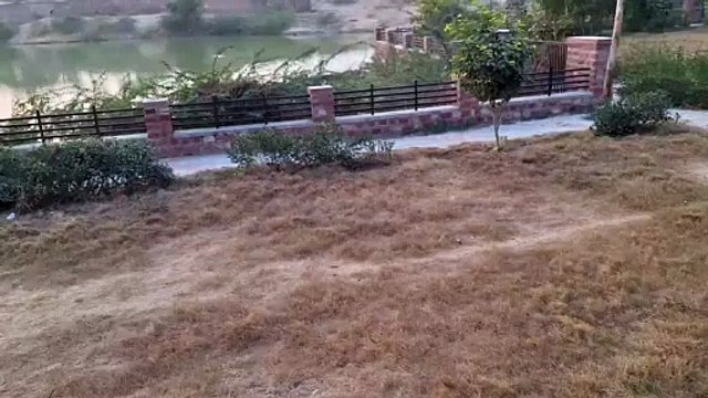 सोते हुक्मकरानों की पोल खोल रही जलती घास, और सूख रहे पौधे