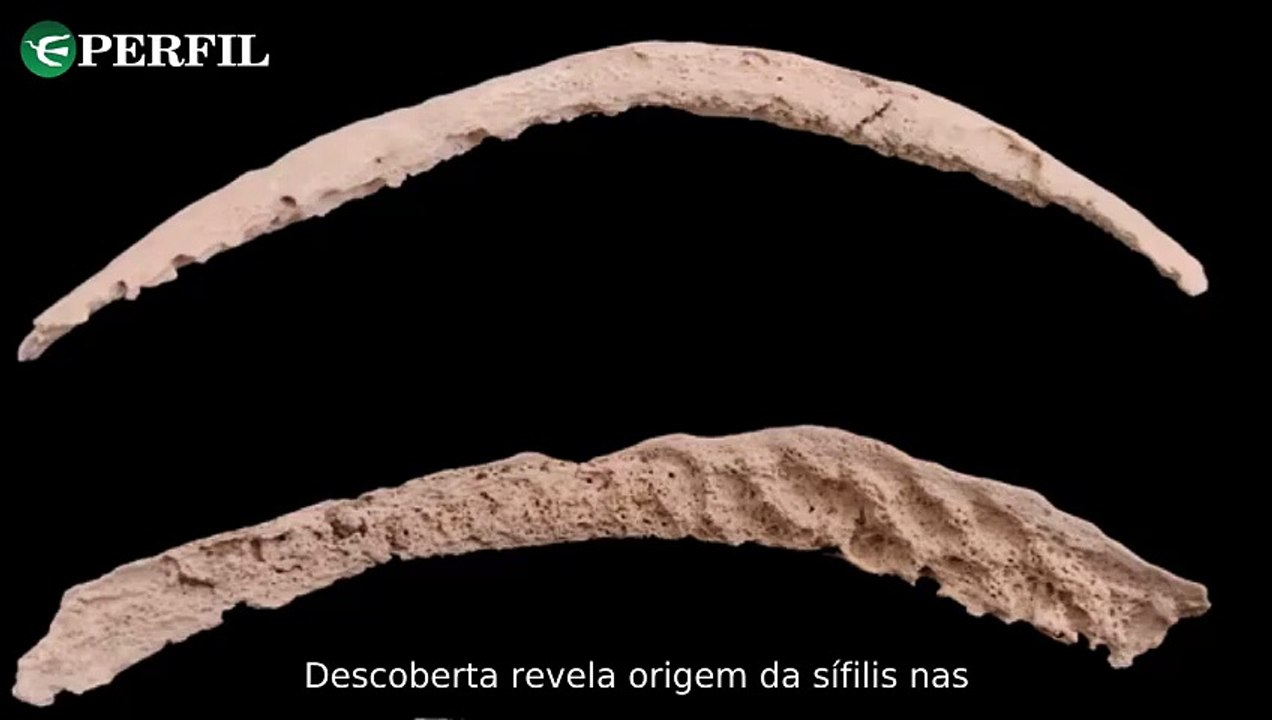 "Descobertas arqueológicas incríveis revelam segredos antigos e emocionam uma mulher no Google Maps"