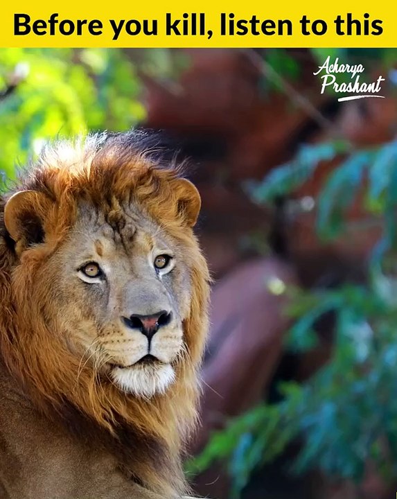 Before you kill, listen to this || Acharya Prashant