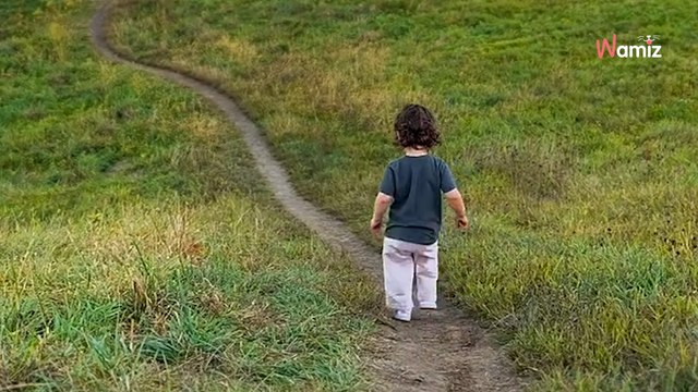 Two-year-old girl decides to go hiking alone: her dog doesn't quite agree (video)