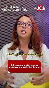 5 dicas para proteger seus pets nas festas de fim de ano