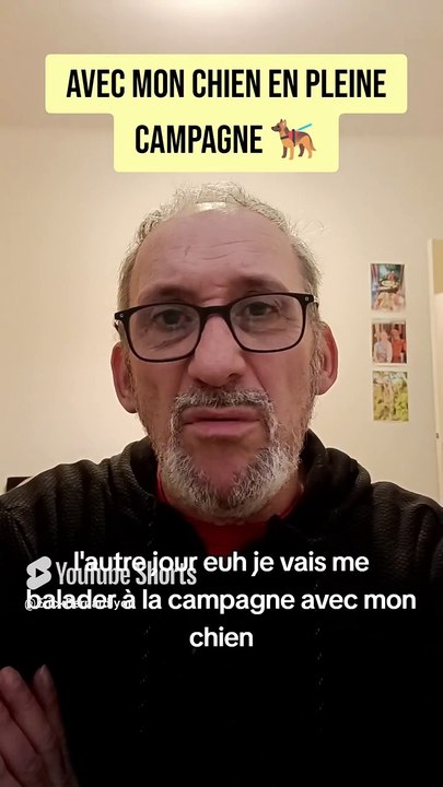 Avec mon chien en pleine nature 🐕