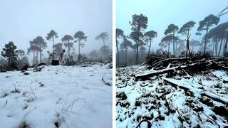 Toluca: El Cerro de Catedra, en Temoay, volvió a vestir de blanco con una espectacular caída de nieve