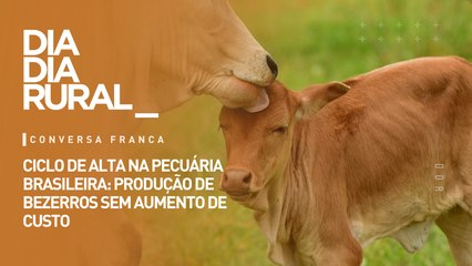 Ciclo de alta na pecuária brasileira: produção de bezerros sem aumento de custo