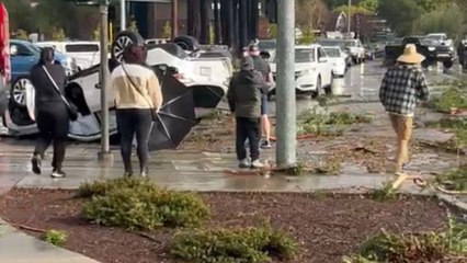 Aftermath of tornado in Felton, California shows overturned cars and scattered tree limbs