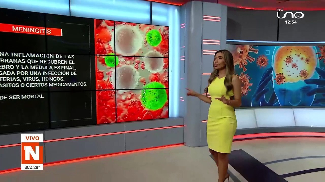 Información sobre meningitis