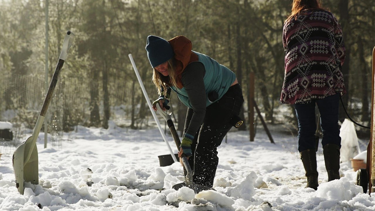 Habitations en péril