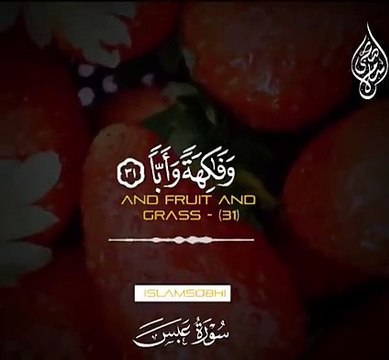 ما شاء اللها سبحان اللهل سبحان اللهل سبحان اللهه اکبر الله اکبر