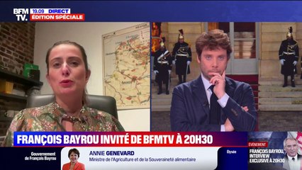 Gouvernement Bayrou: "Normalement, quand un gouvernement est censuré, on ne peut pas prendre les mêmes et recommencer", déclare Marine Tondelier secrétaire nationale des Écologistes