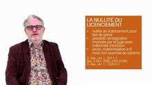 La grève (52 leçons de droit du travail)