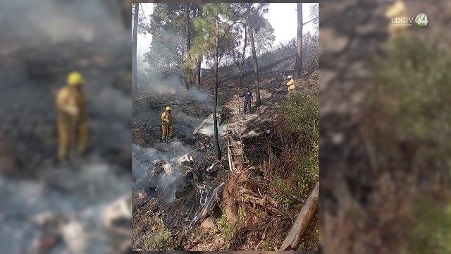 Mueren siete personas en desplome de avioneta en Quitupan