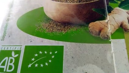 AUCHAN Infusion tonifiante bio