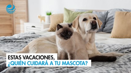 Estas vacaciones, ¿quién cuidará a tu mascota?