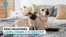 Estas vacaciones, ¿quién cuidará a tu mascota?
