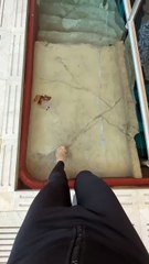 Deepest Swing pool in the world look beautiful