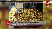 Fuerzas armadas detienen a 25 personas en Sonora