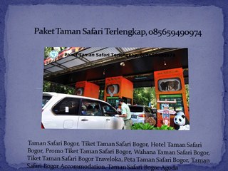 Paket Taman Safari Terlengkap, 085659490974