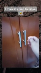 Real Paranormal Activity Footage | Are Sam & Colby's Videos Authentic? 👻