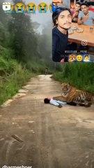 VID_82800814_142911_583