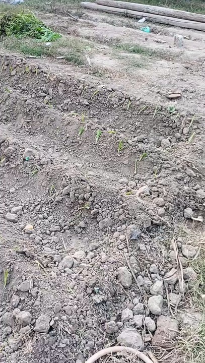 1000057474