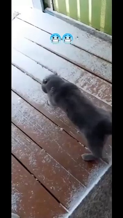 very cold