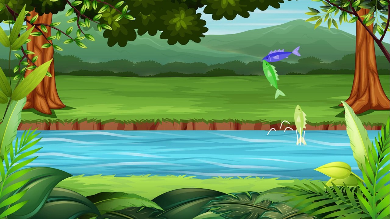 Fish Animation