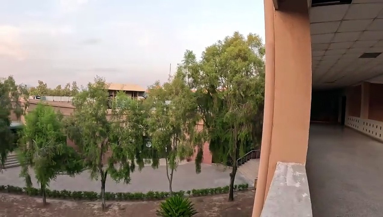 Empty Grounds