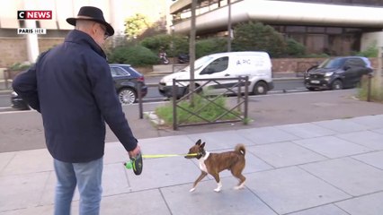 Un fichier contre les déjections canines