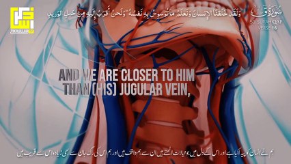 Stunning Recitation Of Surah Qaf سورة ق  POWERFUL VOICE  Zikrullah TV -