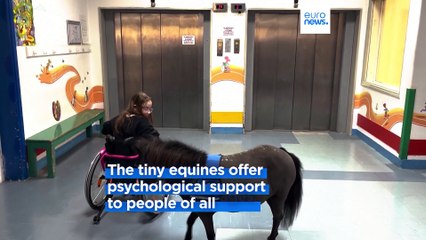 Miniature therapy horses bring joy to Athens’ vulnerable communities