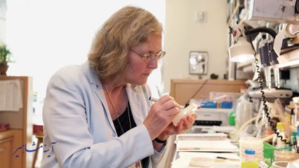 آینه مشاهیر سه شنبه 4 دی 1403