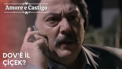 Dov'è il Çiçek? | Amore e Castigo - Episodio 17