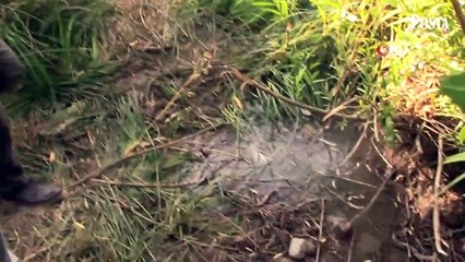 Narin cinayetinde sona gelindi! Karar için saç teli, yasak aşk, adımsayar masada...