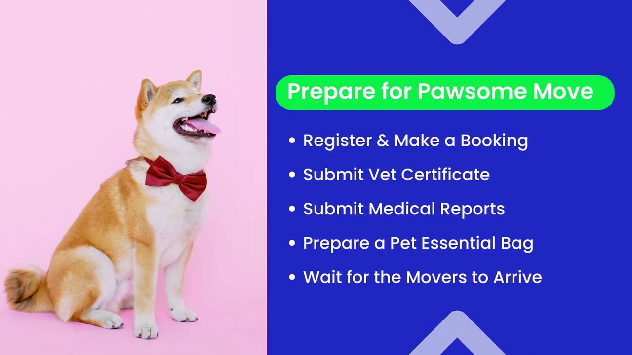 Effortless Pet Relocation You Can Trust - HappyLocate