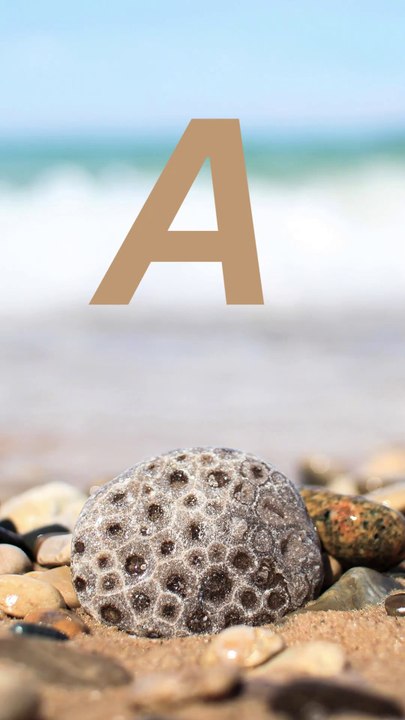 A 1