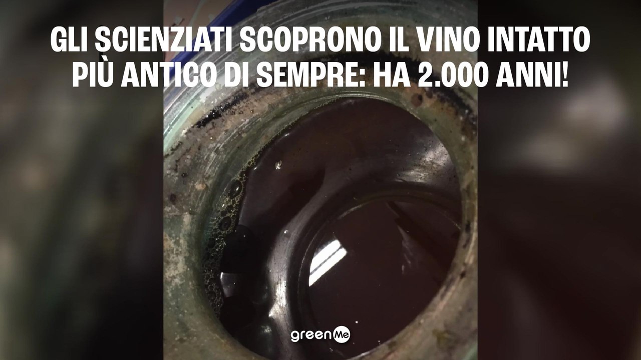 Gli scienziati scoprono il vino intatto più antico di sempre: Ha 2.000 anni