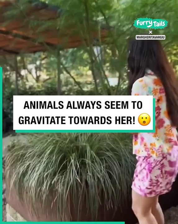 Hello, Disney? We found her!