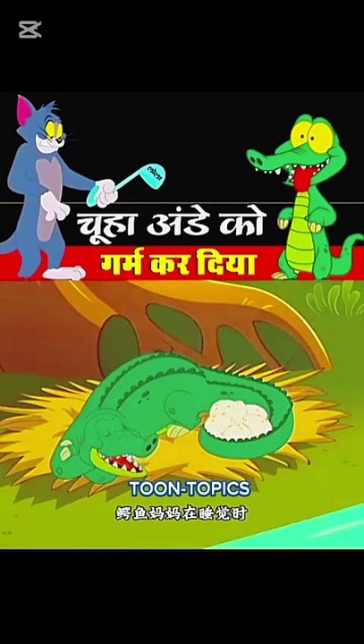 TOON-TOPICS / FUN-KI-STORY