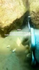 dari sini kita bisa belajar