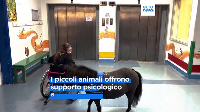 Grecia: i pony da terapia portano gioia e benefici all'interno delle comunità vulnerabili di Atene