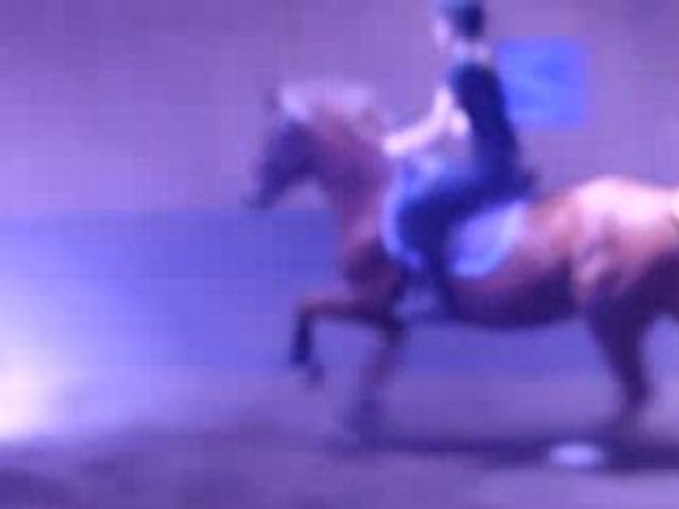 Fiona et Jéroboham sur un parcour le 26/04/08