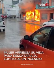 Mujer arriesga su vida para salvar a su perro de voraz incendio