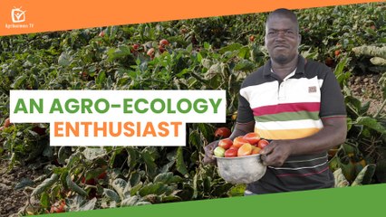 Burkina Faso: An agroecology enthusiast