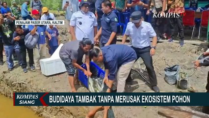 Anak Muda Desa Labangka Budidayakan Tambak Tanpa Rusak Ekosistem Pohon