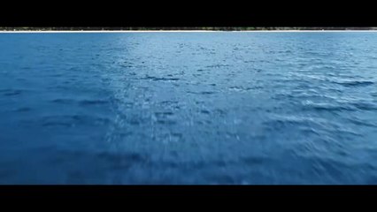 Lilo & Stitch Teaser